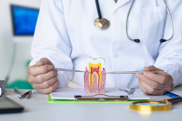 Best Urgent Tooth Repair  in Proctor, VT